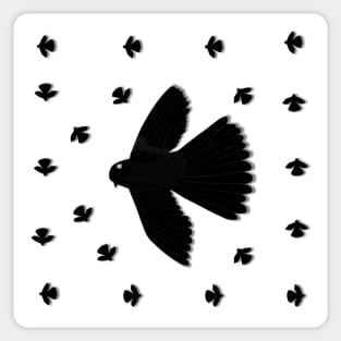 Pattern. Black Morph Fantail. New Zealand Bird Species Sticker